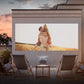 Hisense M2 Pro Televisor UHD 4K (3840x2160) 3D Gris
